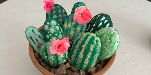 Photo: Cactus ROCKS!